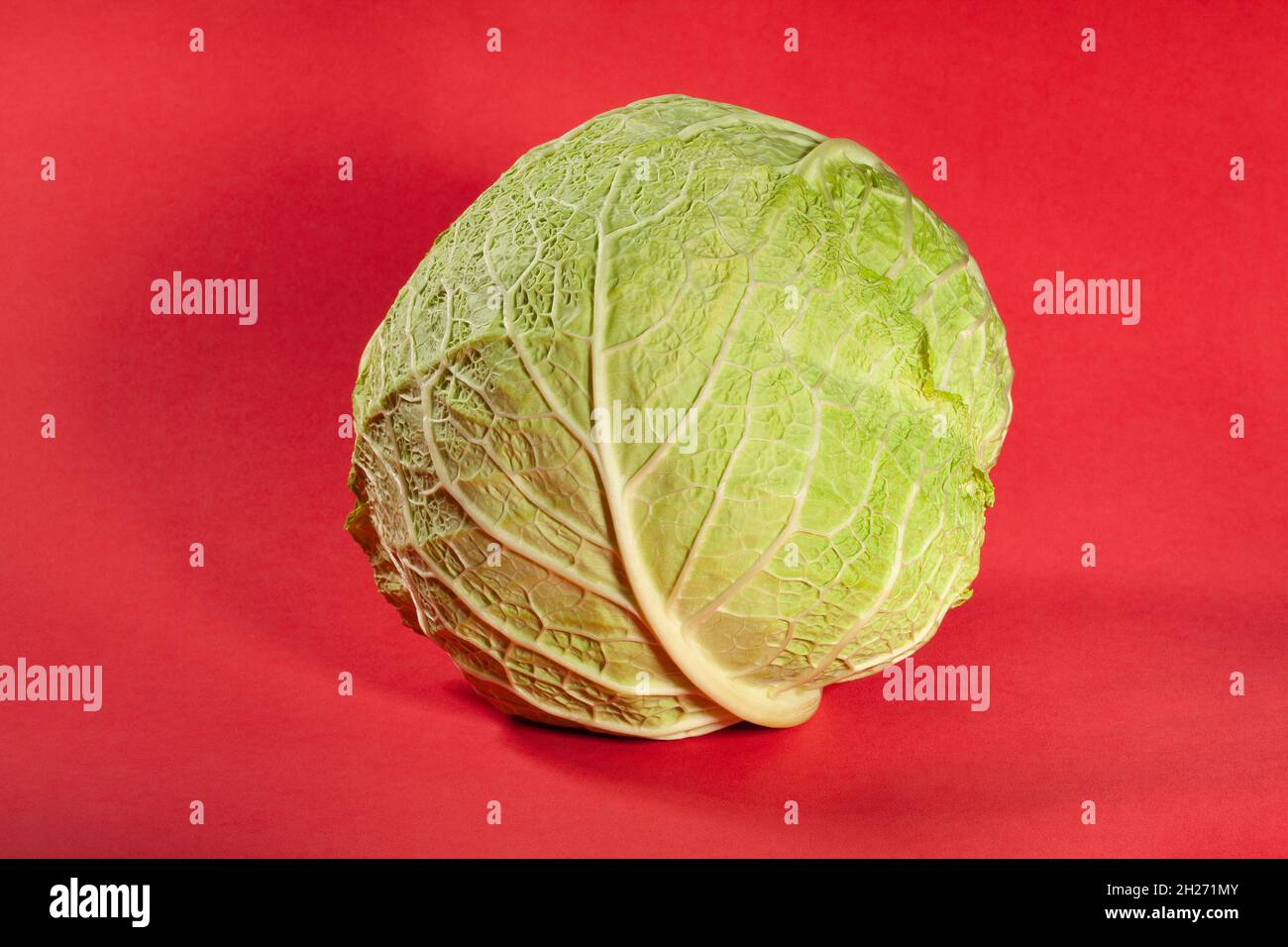 savoy cabbage on red background Stock Photo