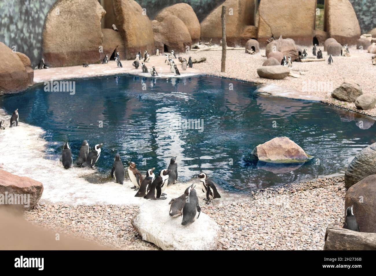 Penguin pavilion with pond in zoological garden Stock Photo