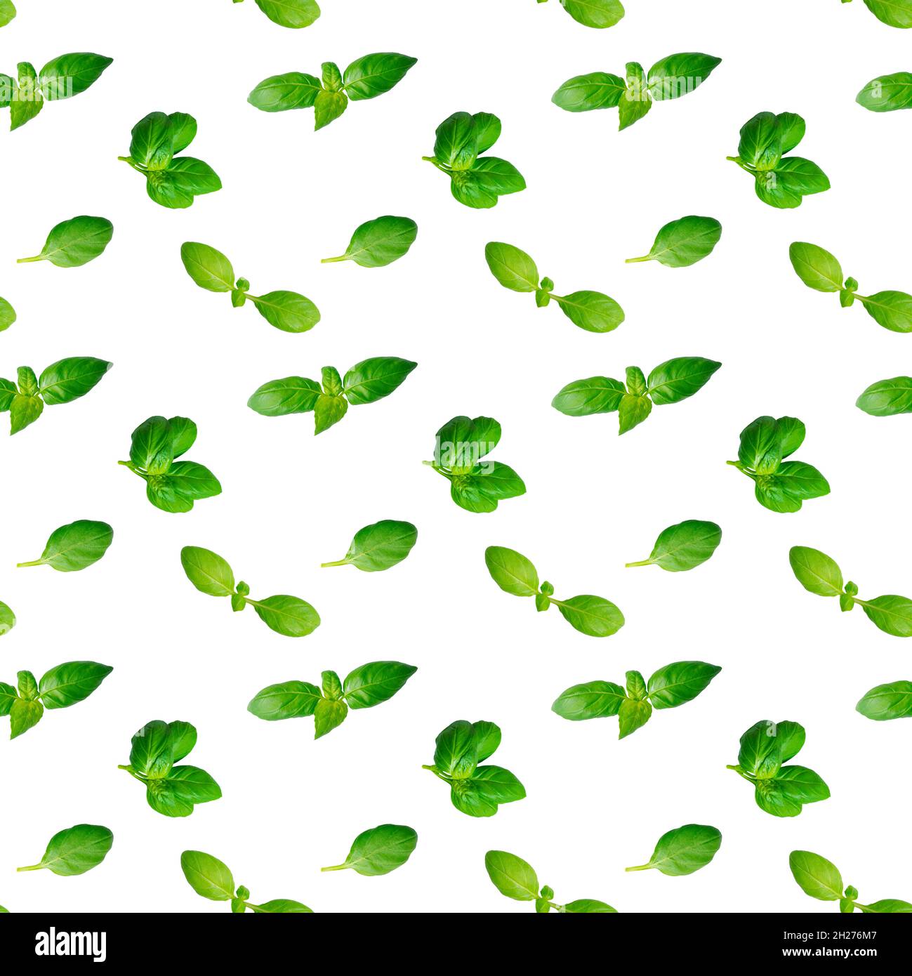 Creative seamless pattern of fresh green basil leaves isolated on white ...