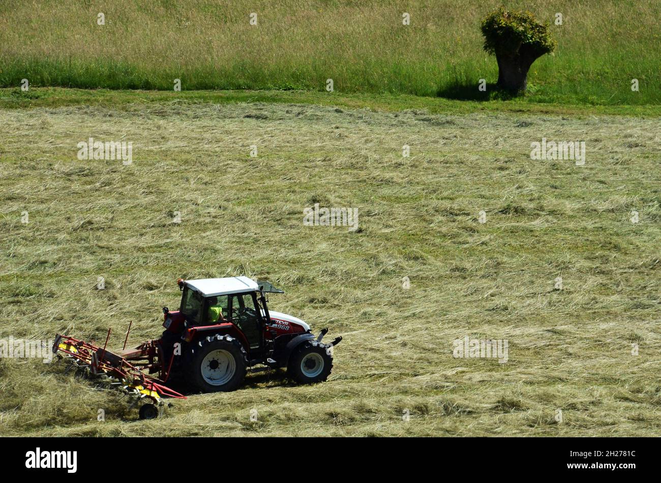 Maschinelles Wenden von Heu, Oberösterreich, Österreich, Europa - Machine turning of hay, Upper Austria, Austria, Europe Stock Photo