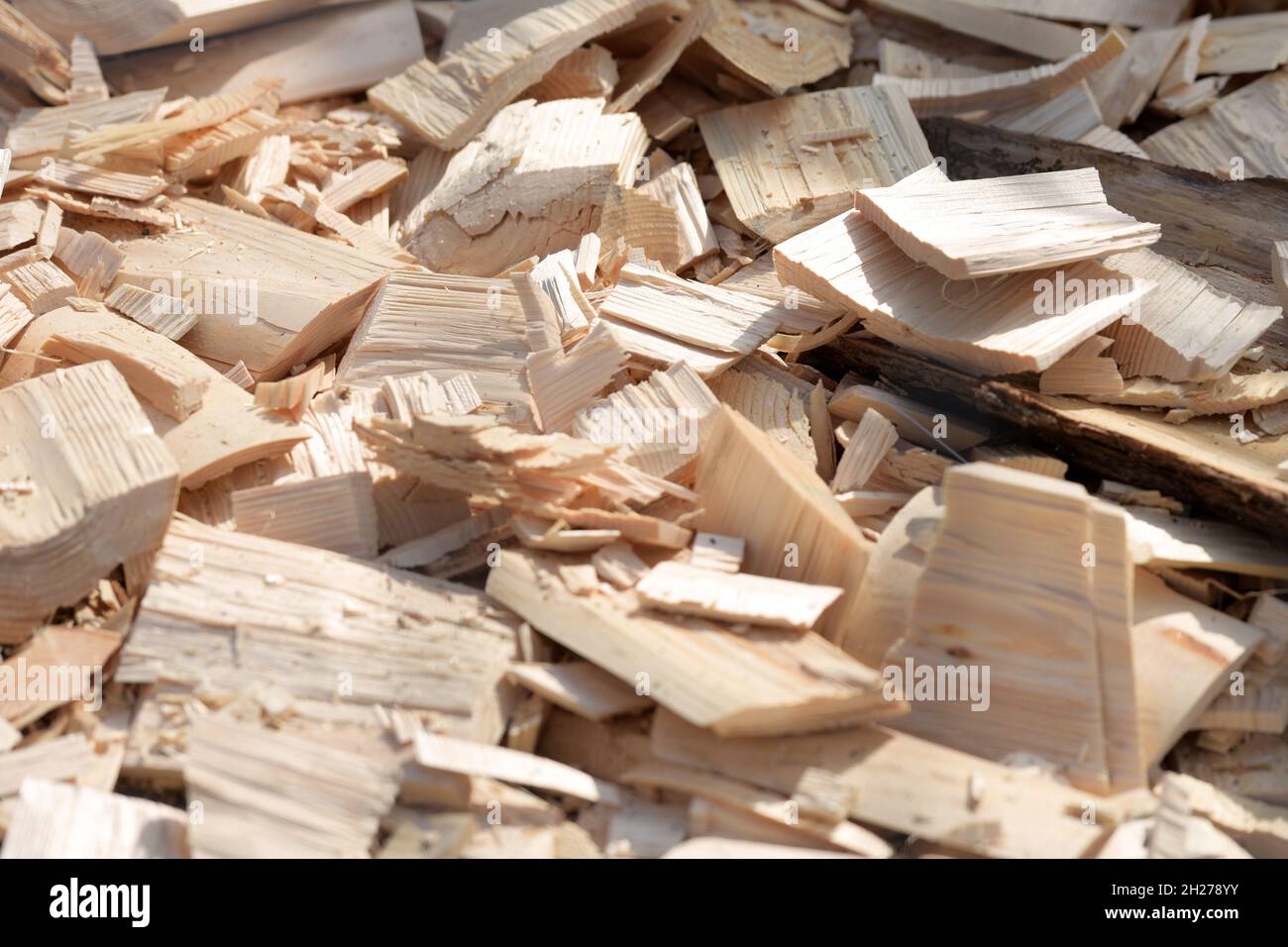 Holzabfälle und Holzspäne liegen auf dem Boden einer holzverarbeitenden Firma - Wood waste and wood chips lie on the floor of a wood processing compan Stock Photo