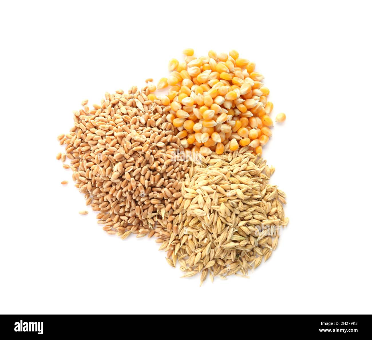 Different types of grains and cereals on white background Stock Photo
