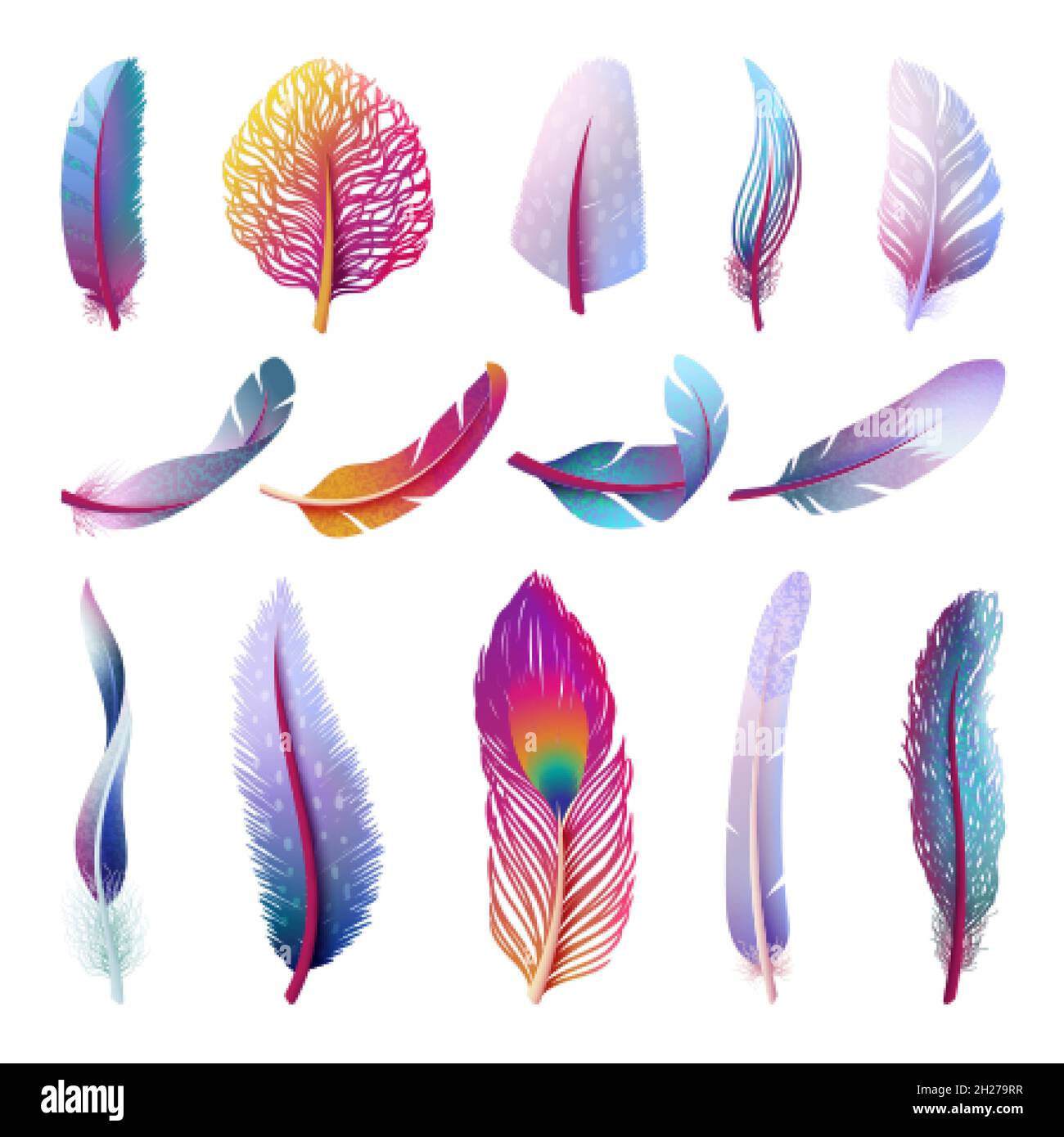 Isolated feather collection. Colorful fantasy feathers, peacock bird
