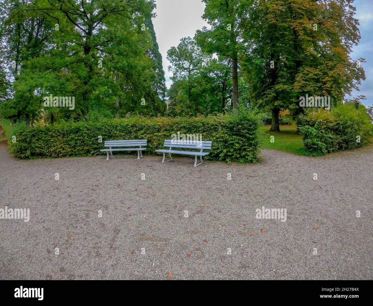 Scenic view of empty benches in the park Stock Photo - Alamy