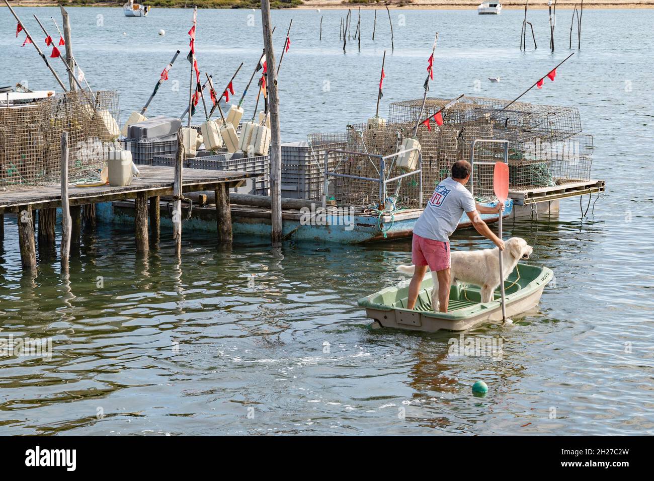 A fisher with his dog paddling to his boat at the quarter of the oyster cultivator's at Cap Ferret on the Bassin d'Arcachon, France Stock Photo