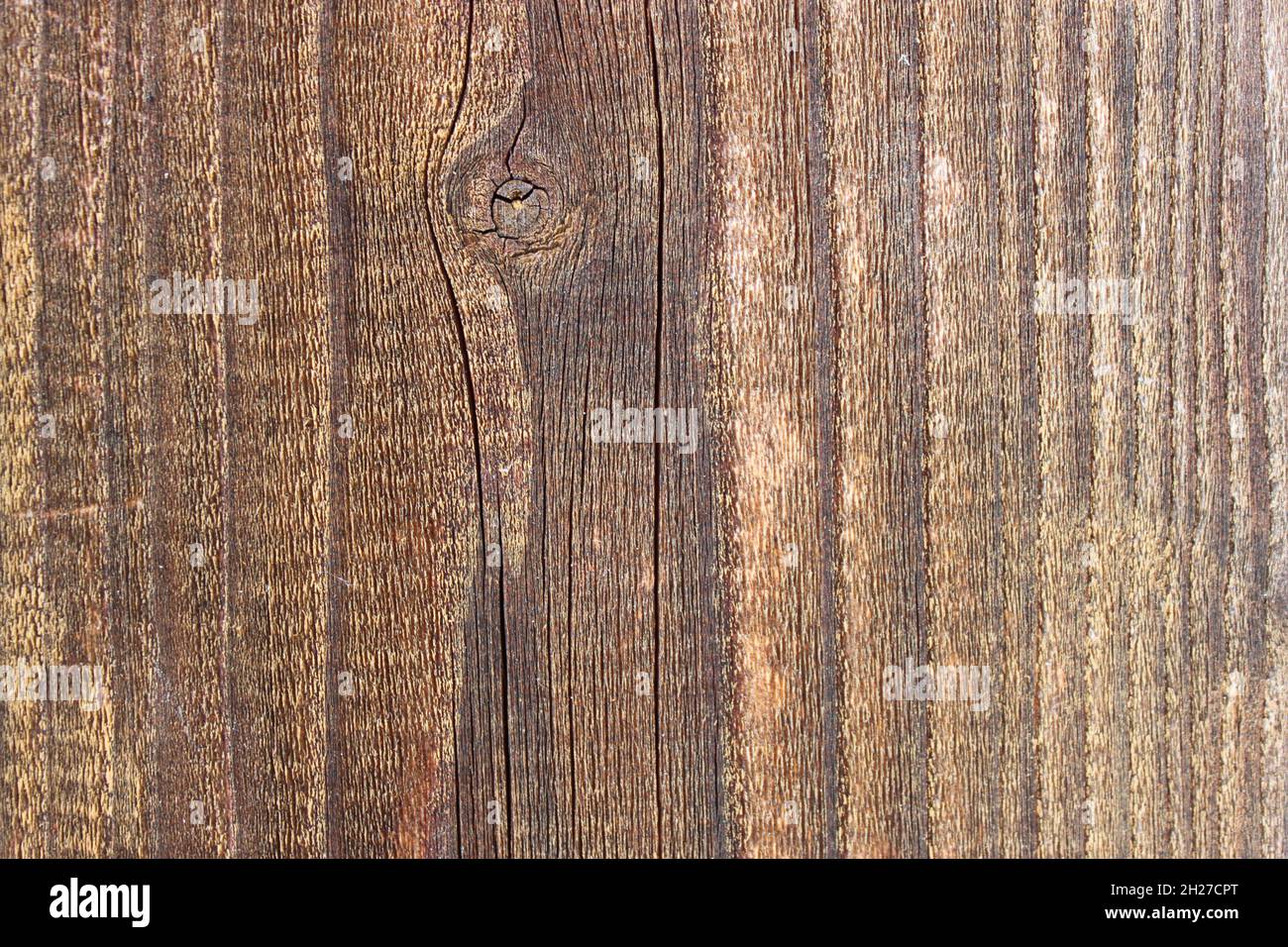 light wood with interesting grain Stock Photo