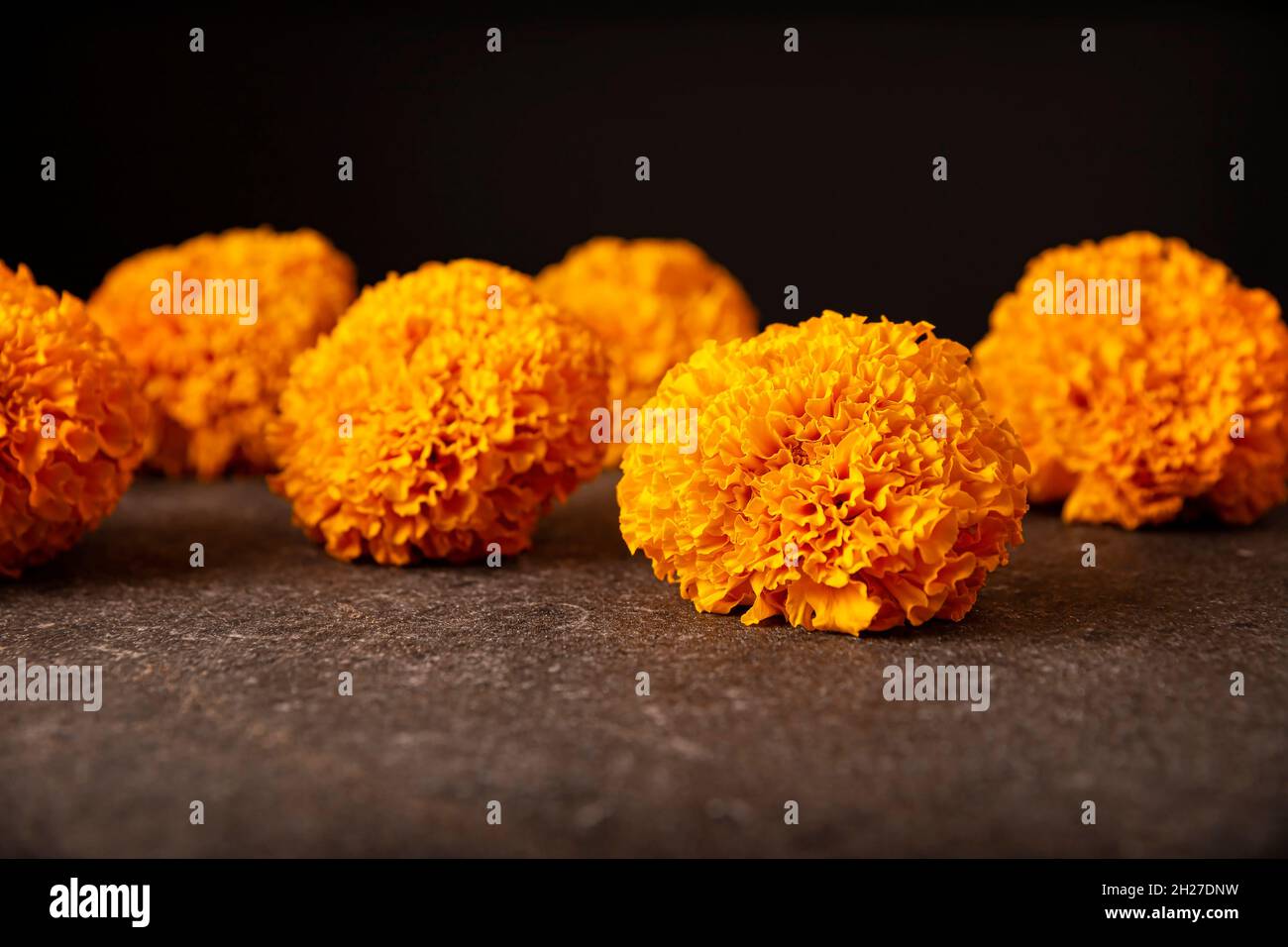 Cempasuchil orange flowers or Marigold. (Tagetes erecta) Traditionally used  in altars for the celebration of the day of the dead in Mexico Stock Photo  - Alamy