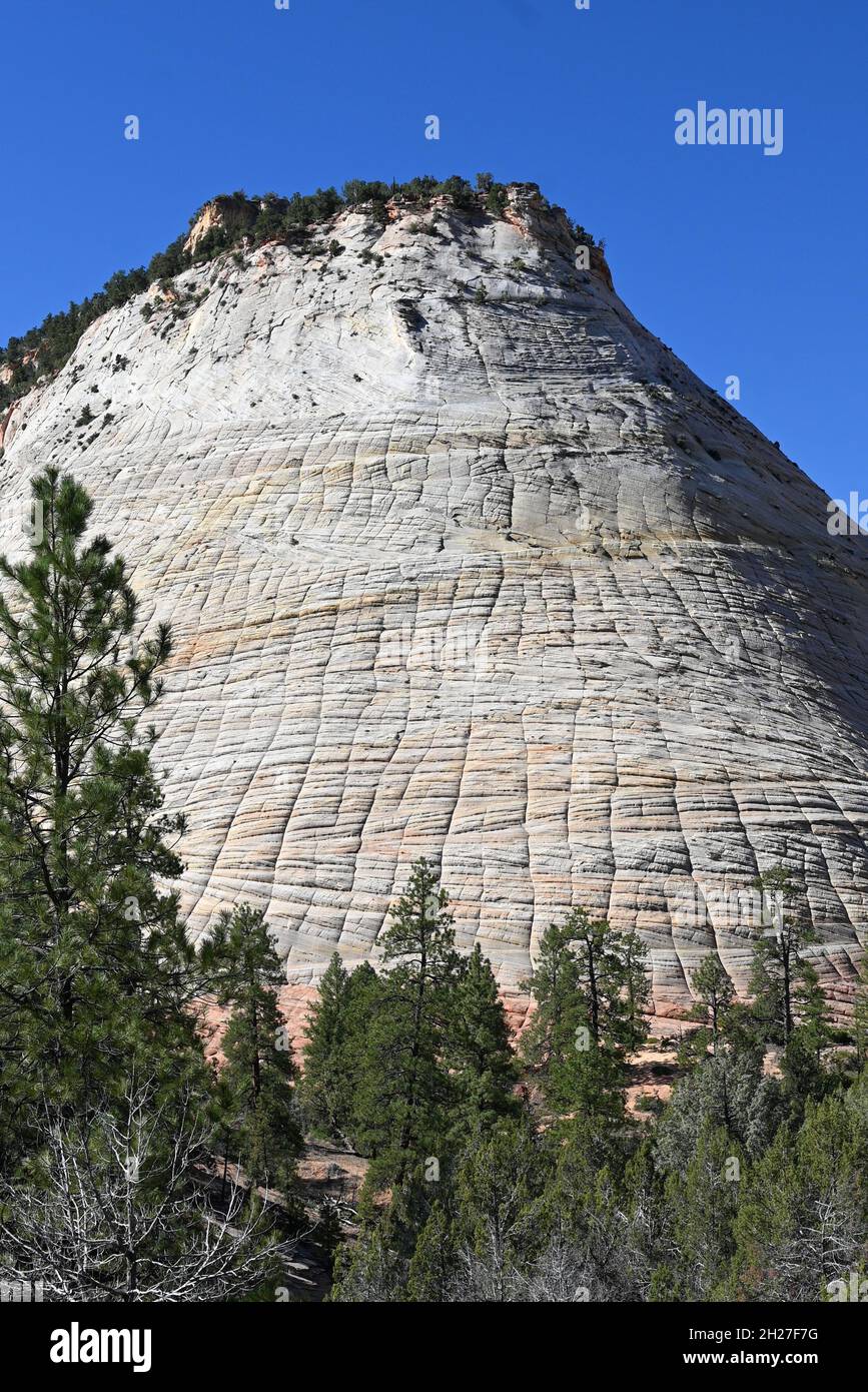 ZION NATIONAL PARK IN UTAH...NEAR THE CHECKERBOARD MESA ON ROUTE 9 Stock Photo