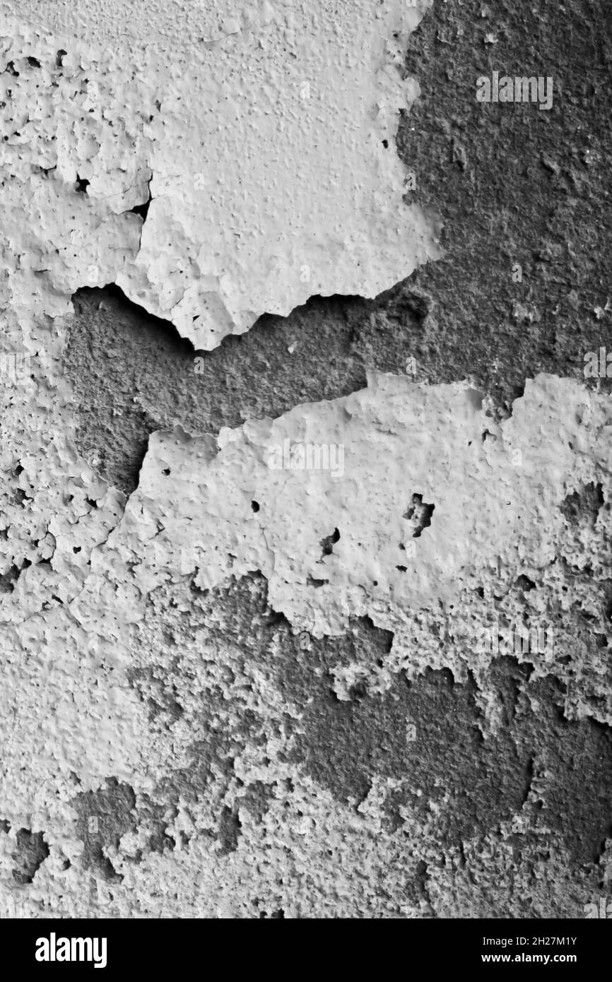 White damp wall showing paint cracking open and breaking or peeling off. The fragile white