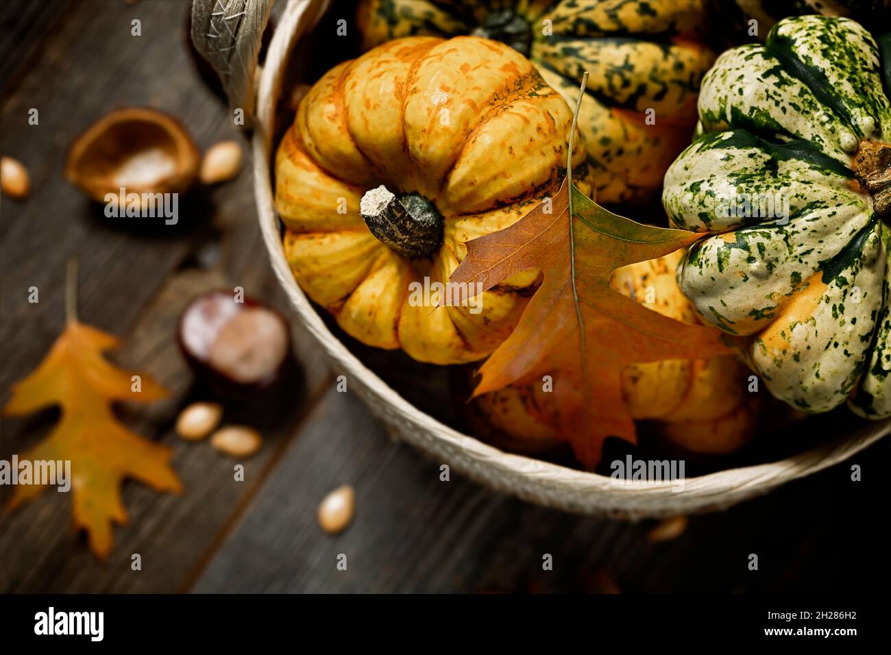 orange and green pumpkins in basket on wooden background Stock Photo