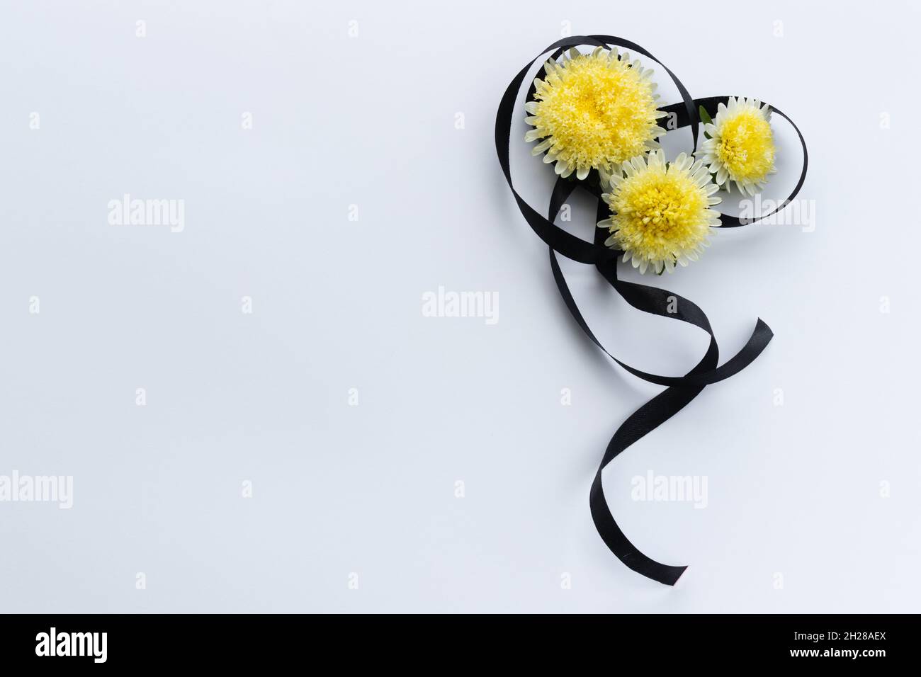 Decoration from black funeral ribbon with yellow flowers. Stock Photo