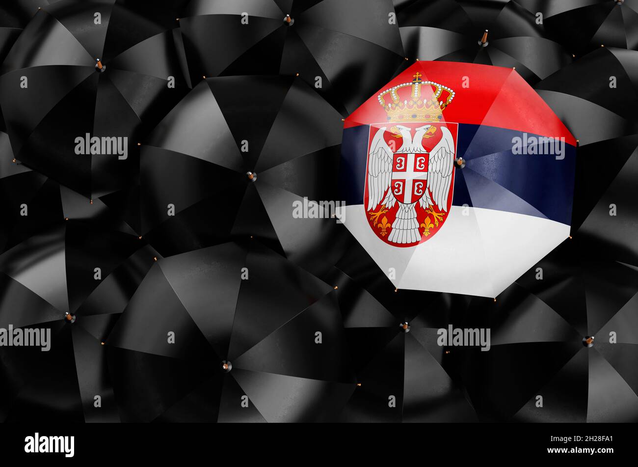 Umbrella with Serbian flag among black umbrellas, top view. 3D rendering Stock Photo