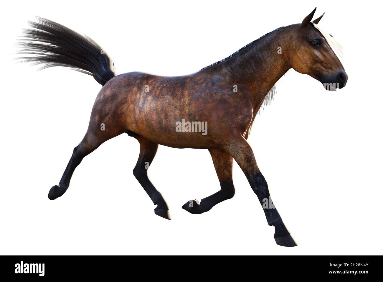 Horse Placenta Treatment Football Clipart