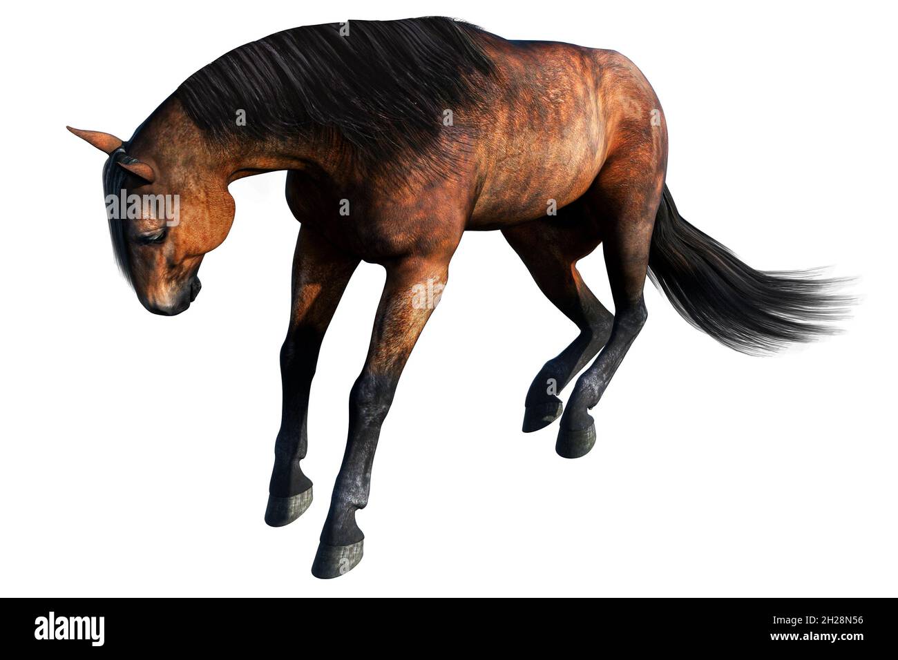 horse isolated, brown horse, horse, 3D illustration, horse 3D rendering, bay horse, horse standing Stock Photo
