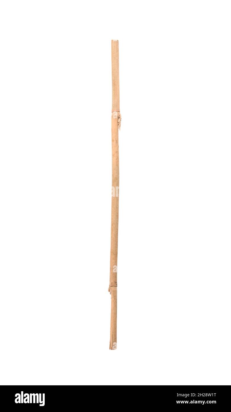 Dry bamboo stick on white background Stock Photo - Alamy