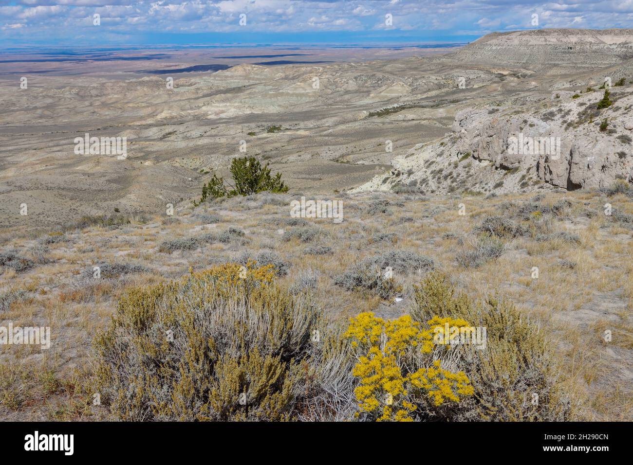 The Great Divide Basin, Wyoming Stock Photo