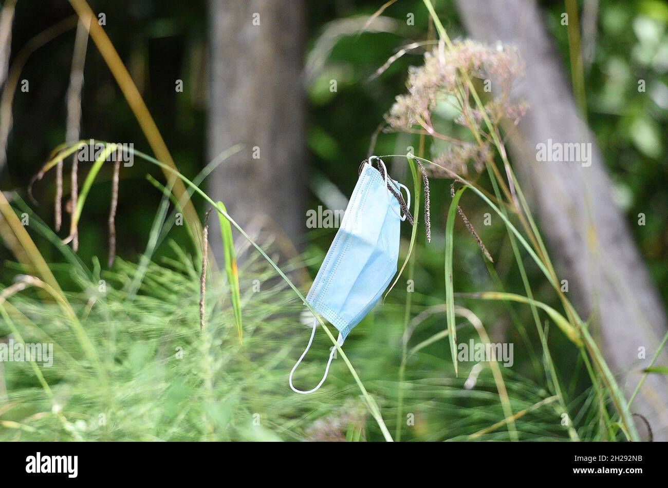 Mund-Nasen-Schutz-Maske während der Corona-Pandemie in Österreich, Europa - Mouth and nose protection mask during the corona pandemic in Austria, Euro Stock Photo