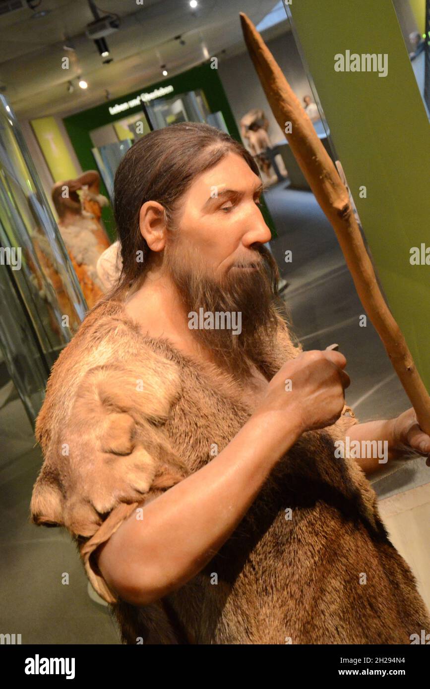Das Neanderthal Museum ist ein Museum im Neandertal bei Mettmann, Deutschland, Europa - The Neanderthal Museum is a museum in the Neandertal near Mett Stock Photo