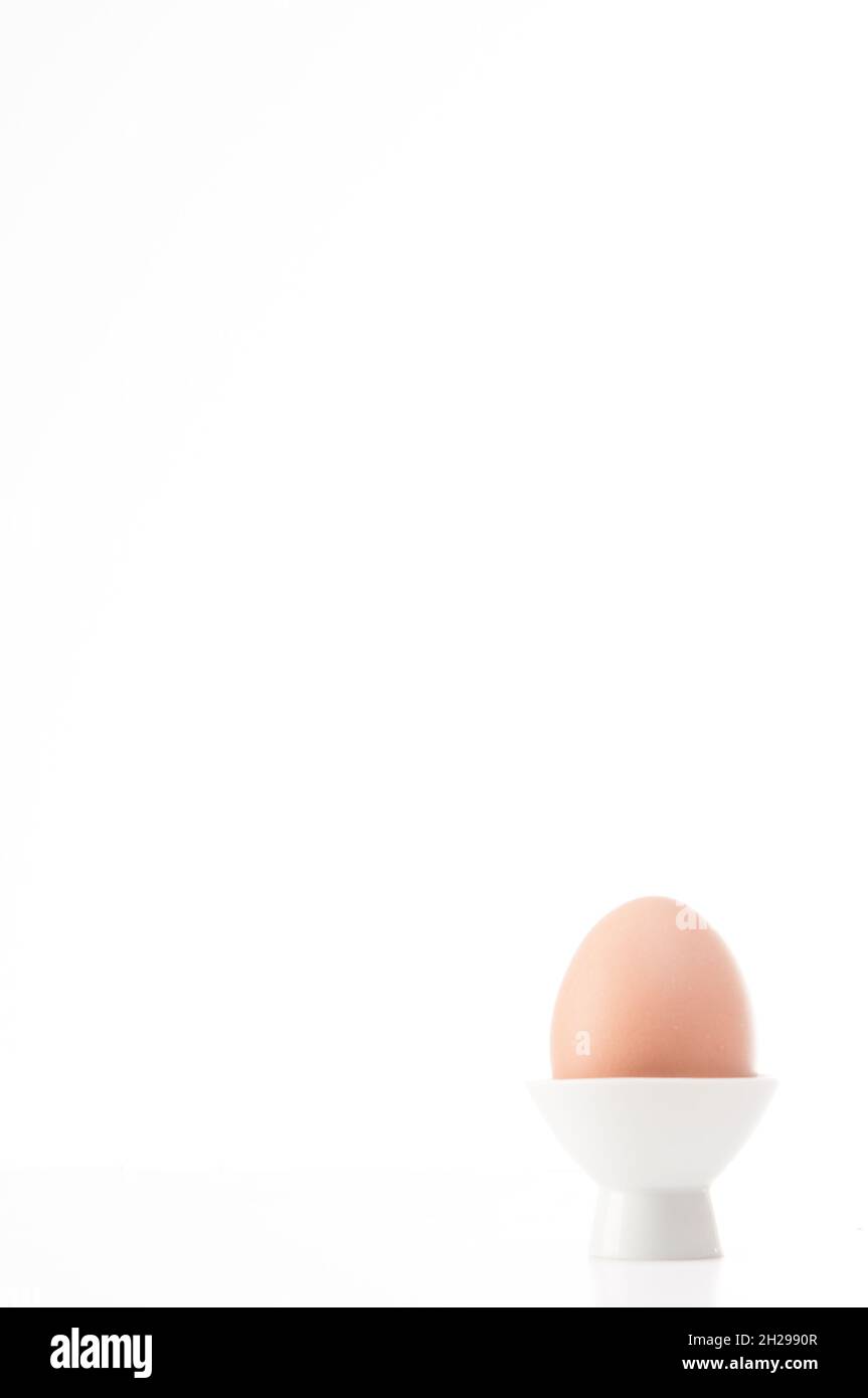 boiled chicken egg in its cup on white background Stock Photo