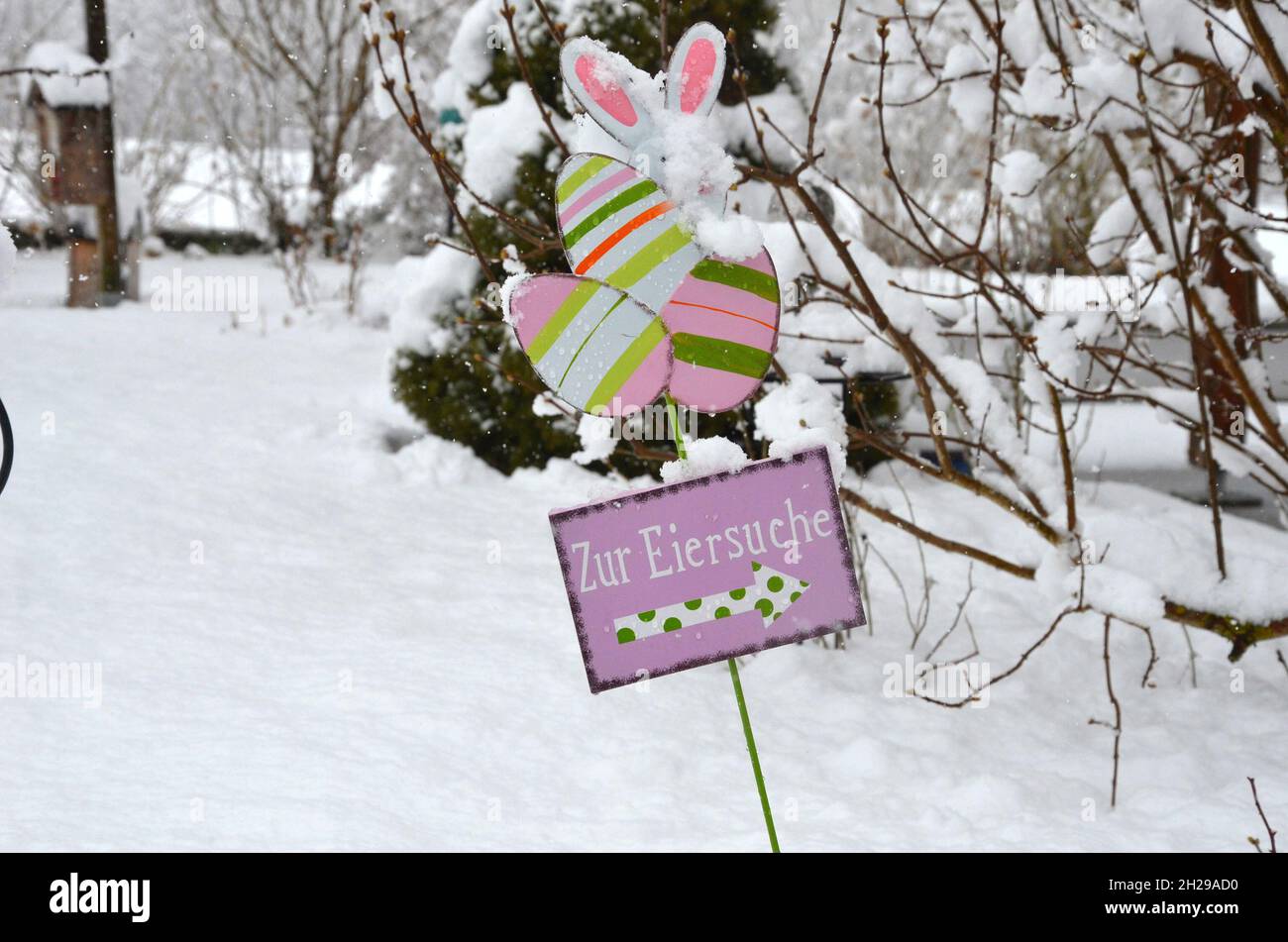 Ostern im Schnee - Ostereiersuche im Schnee - Winterliche Ostern - Weiße Ostern - Easter in the snow - Easter egg hunt in the snow - white easter - wi Stock Photo