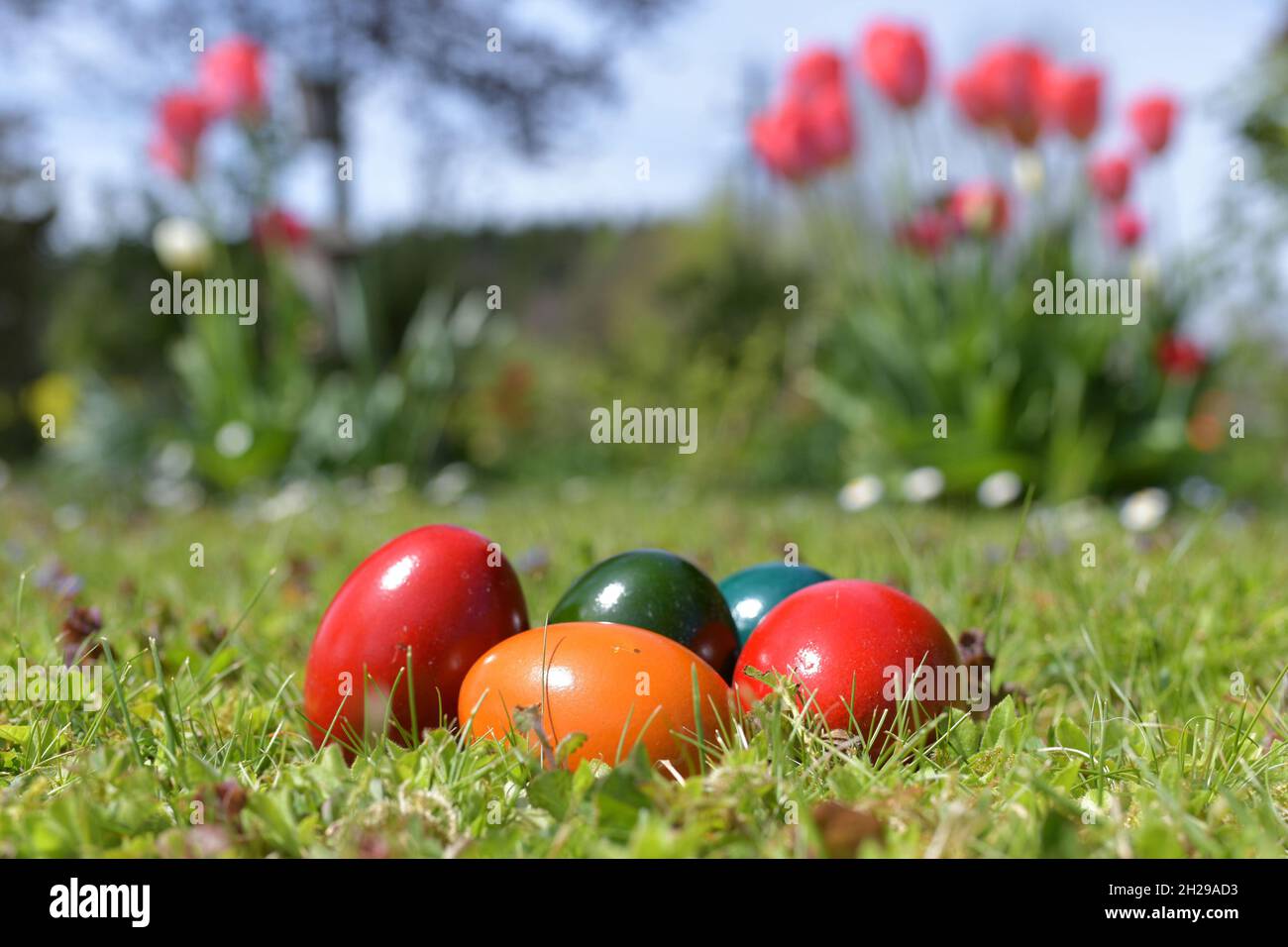 Das Verschenken von Ostereiern ist ein weit verbreiteter Brauch. Die Tradition vom Eierfärben geht bis ins Mittelalter zurück. - Giving away Easter eg Stock Photo