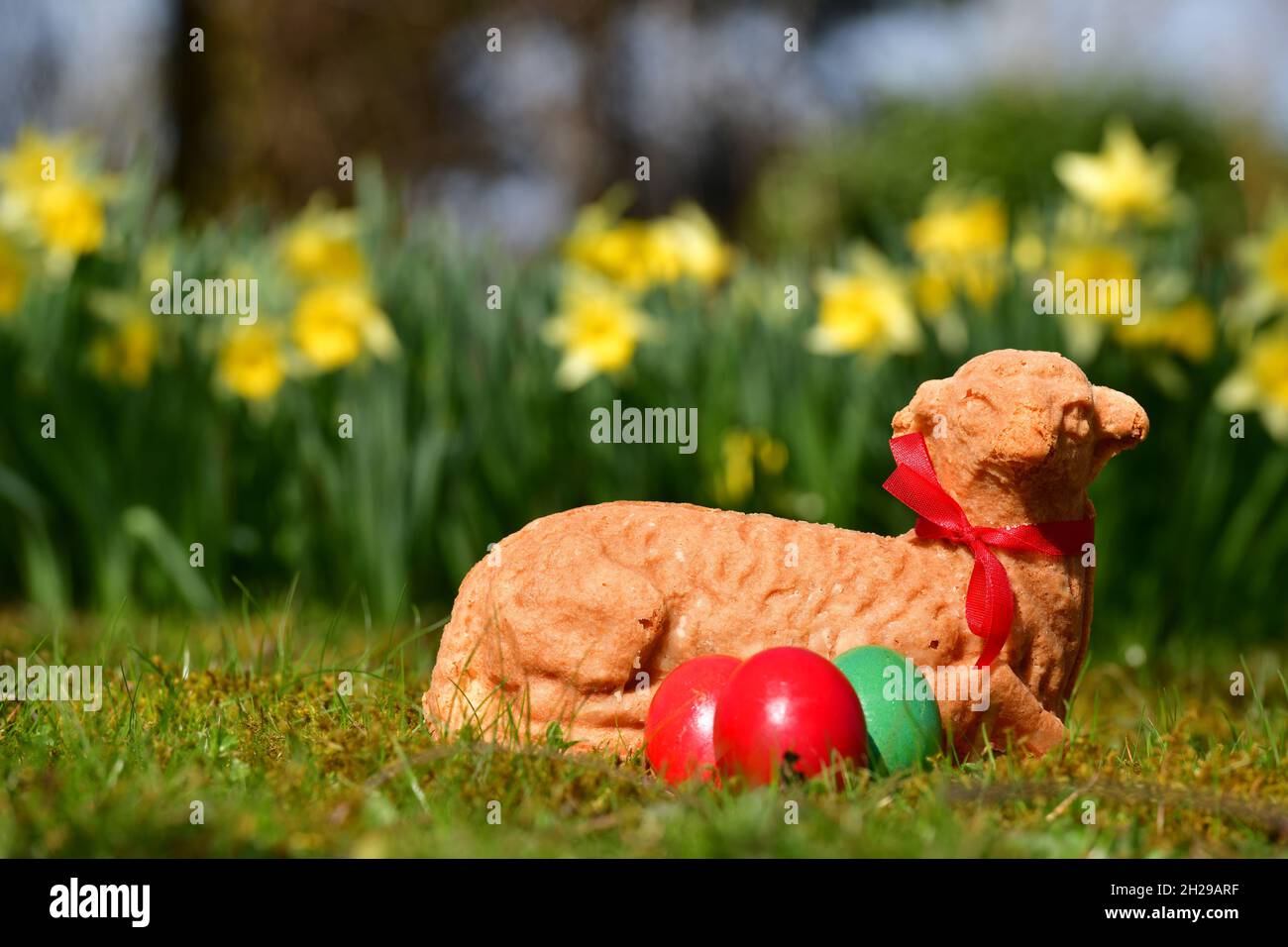 Ostereier und ein gebackenes Osterlamm in einer Wiese mit gelben Blumen