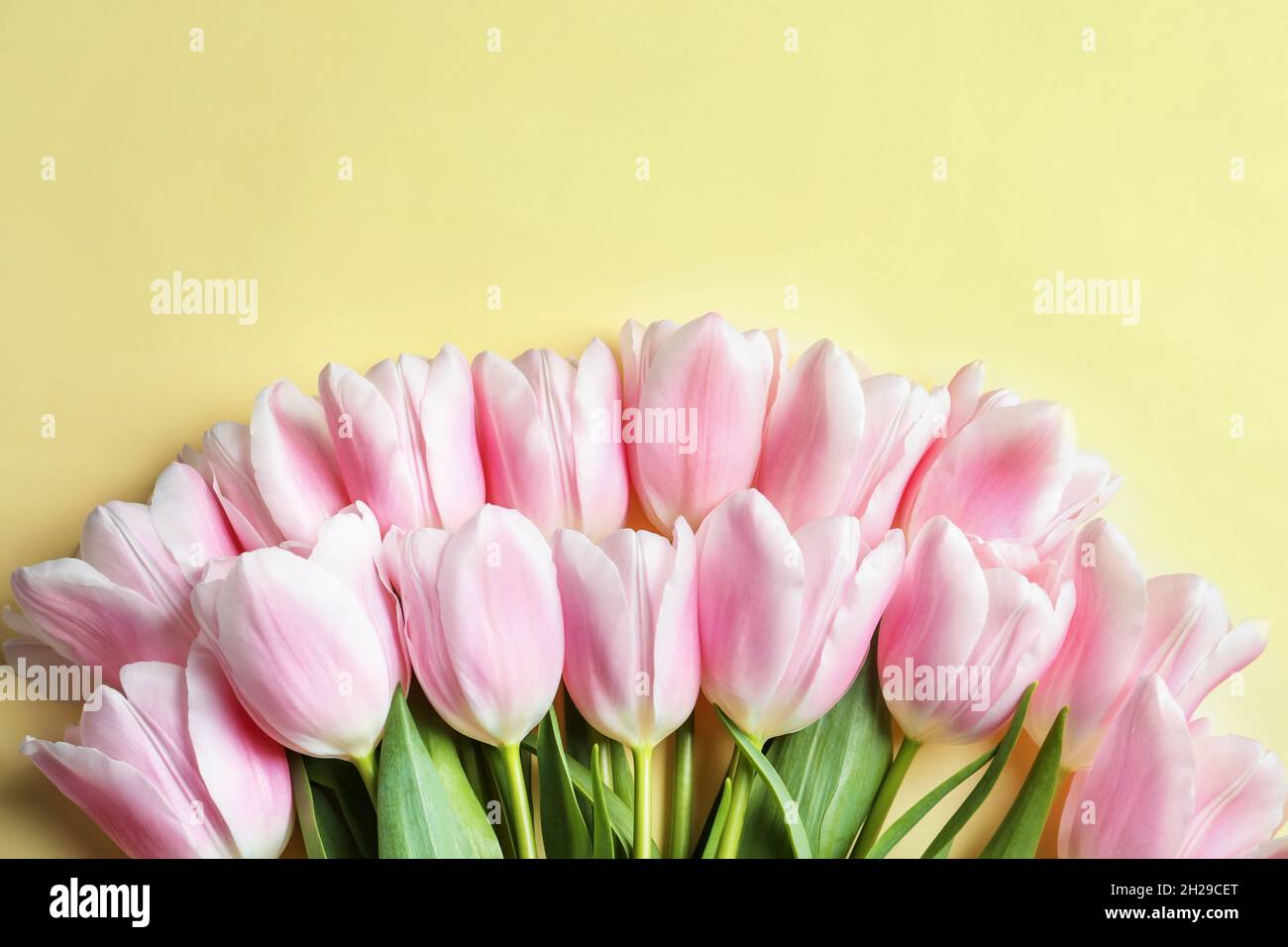Beautiful composition with tulips for Mother's Day on color background Stock Photo - Alamy