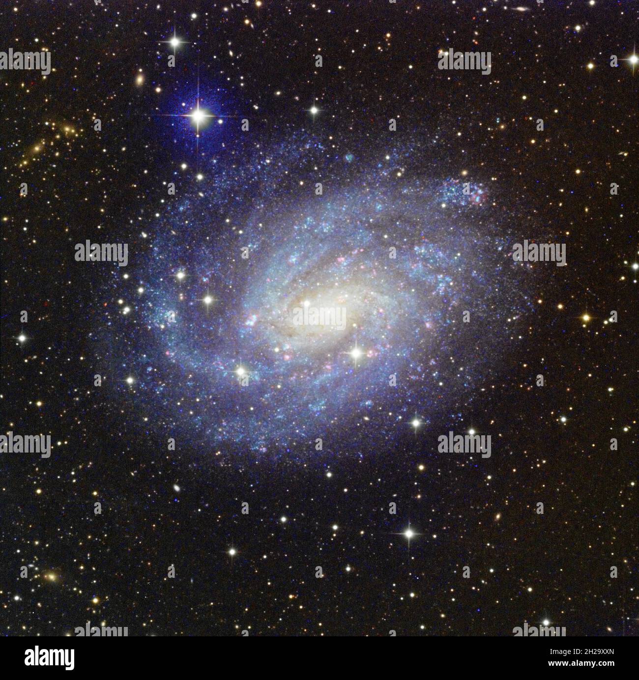 NGC 300 Spiral Galaxy Stock Photo - Alamy