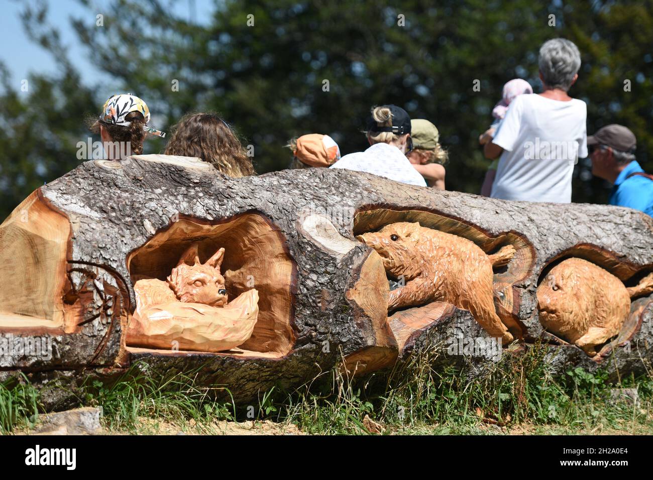 Geschnitzte Wildtiere in einem Baumstamm auf dem Grünberg (Bezirk Gmunden, Oberösterreich, Österreich) - Carved wild animals in a tree trunk on the Gr Stock Photo