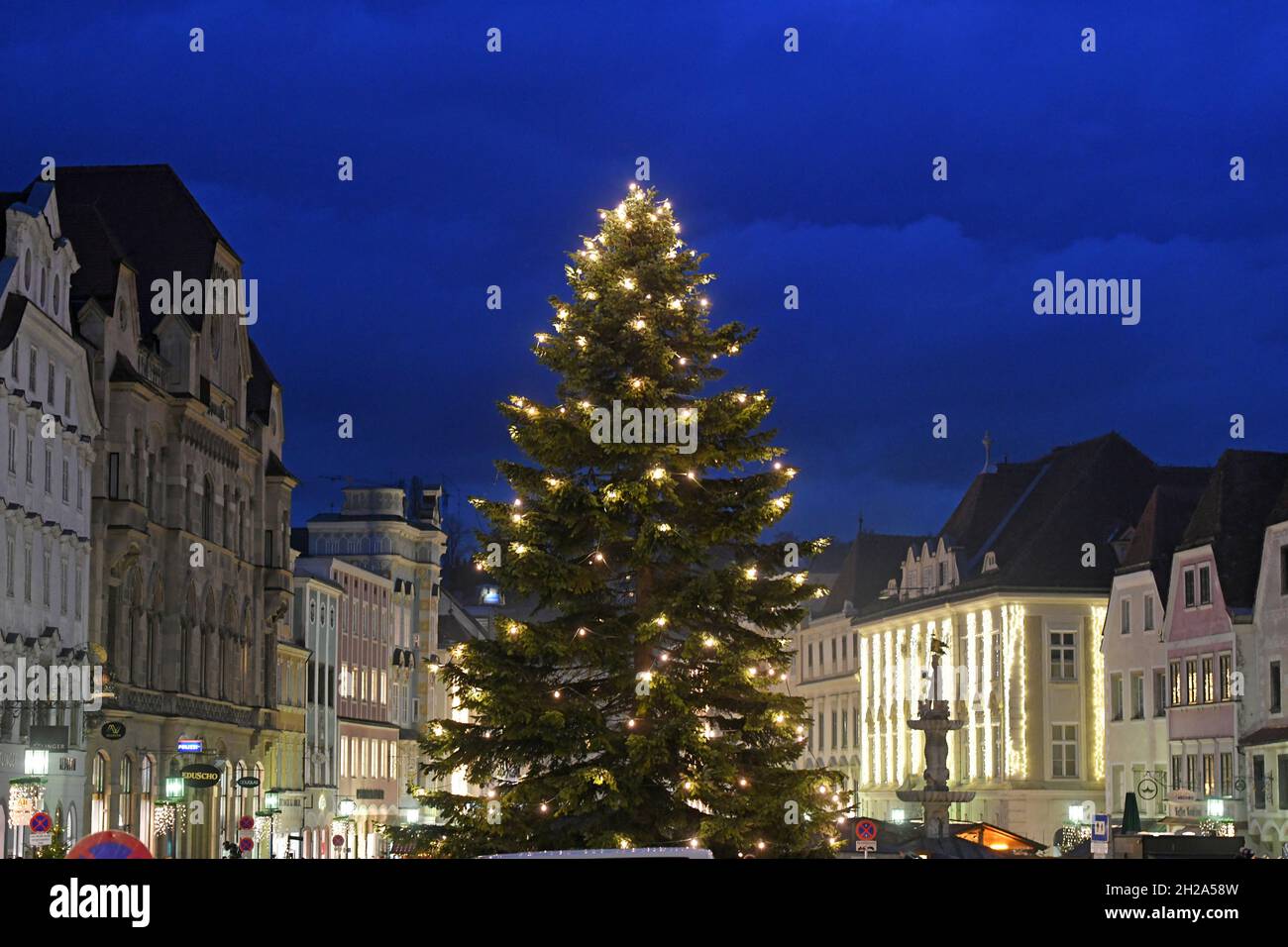 Auf dem historischen Stadtplatz von Steyr (Oberösterreich) wird jedes Jahr im Advent ein schöner, beleuchteter Weihnachtsbaum aufgestellt. - On the hi Stock Photo