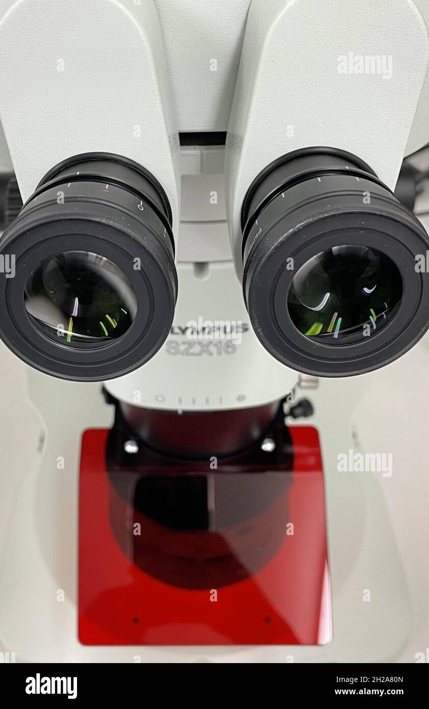 Ocular lens eyepiece Stock Photo Alamy