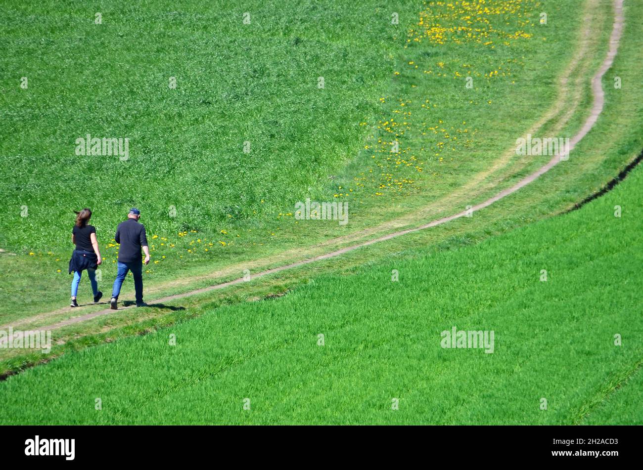 Zwei erwachsene Wanderer auf einer grünen Wiese (Oberösterreich, Österreich) - Two adult hikers on a green meadow (Upper Austria, Austria) Stock Photo