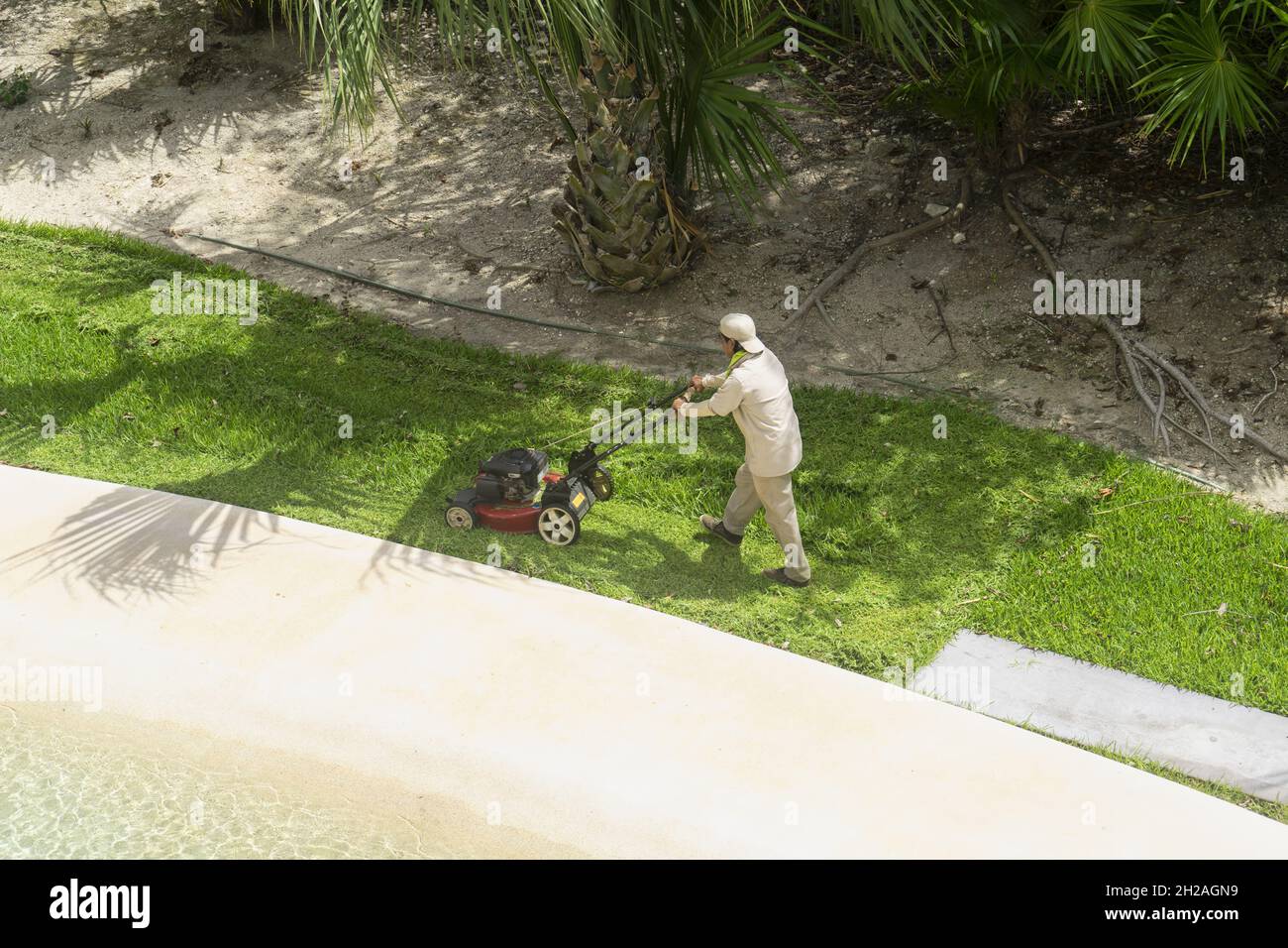 Mexican mower hotsell