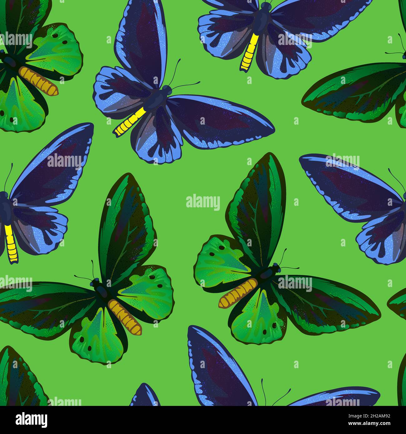 Seamless pattern with colorful big tropical butterflies, swallowtail and birdwing, papilio and ornitoptera papilionidae. Stock Vector
