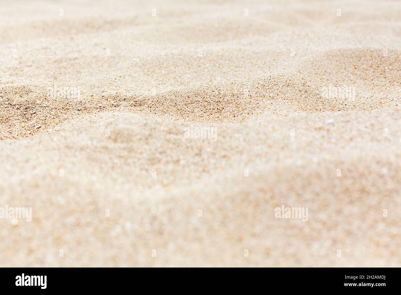 White Sea Sand Texture