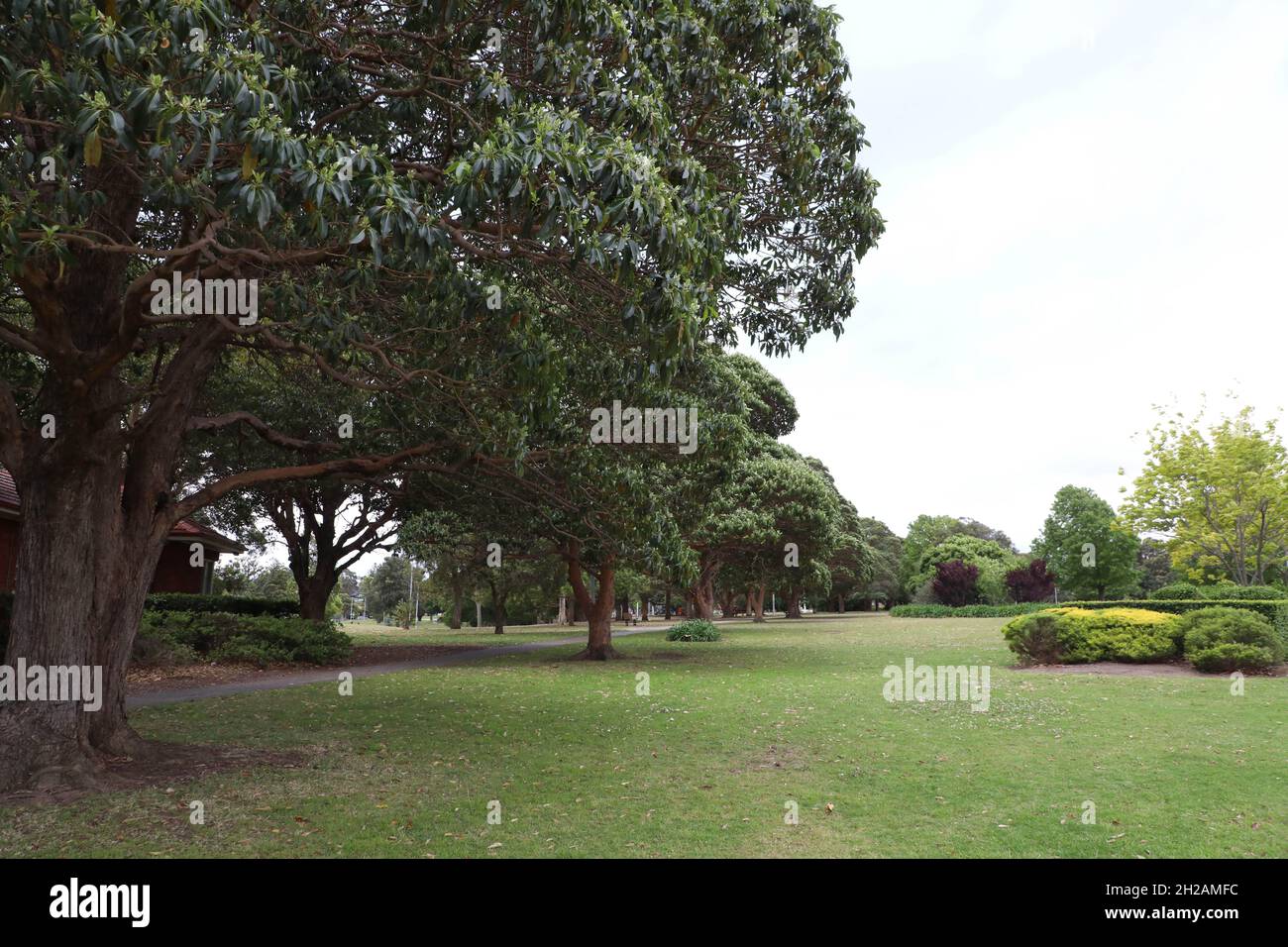Five Dock Park, Five Dock, Sydney, NSW, Australia Stock Photo Alamy