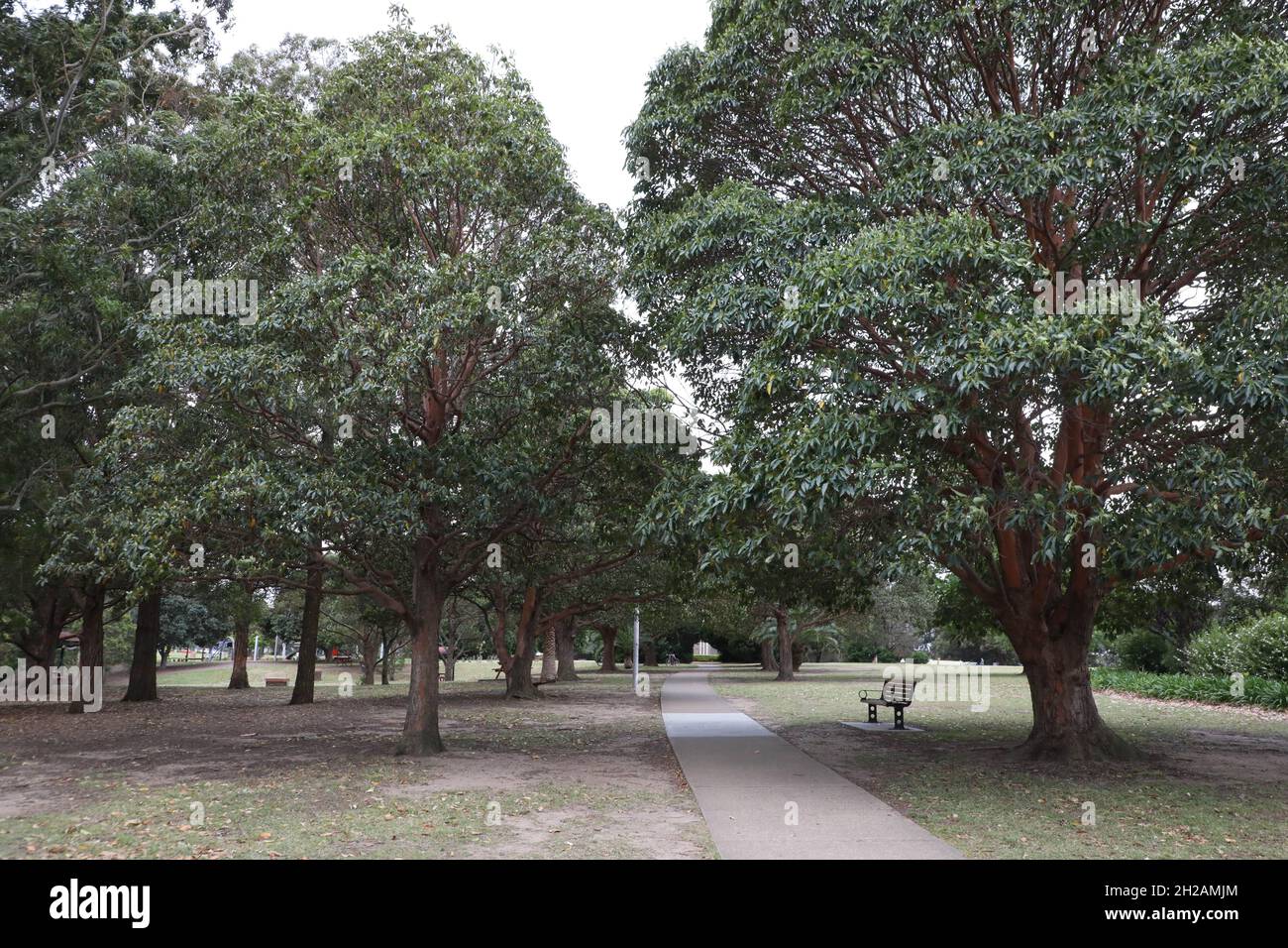 Five Dock Park Five Dock Sydney Nsw Australia Stock Photo Alamy