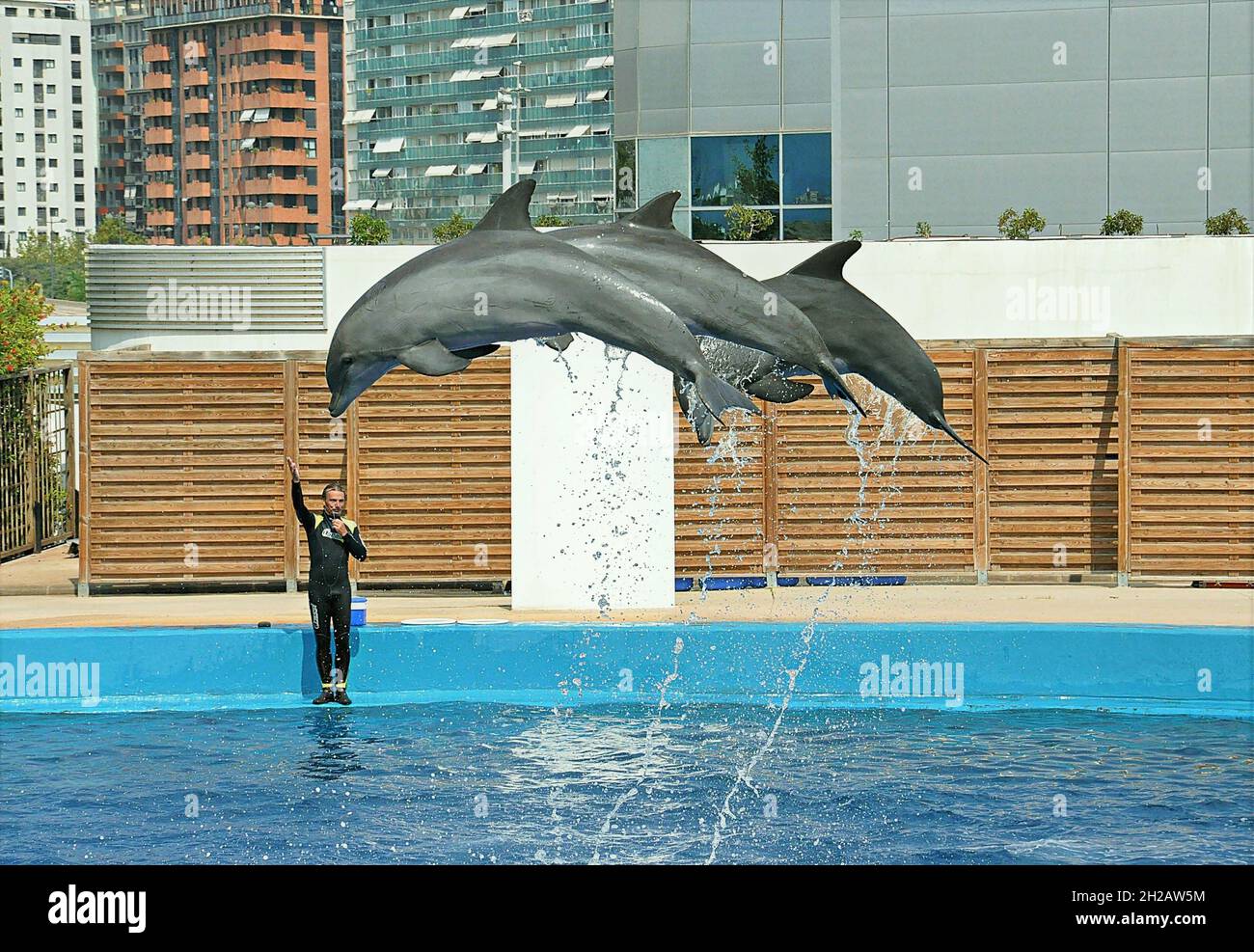 Oceanographic Dolphinarium of Valencia, Valencian Community, Spain Stock Photo
