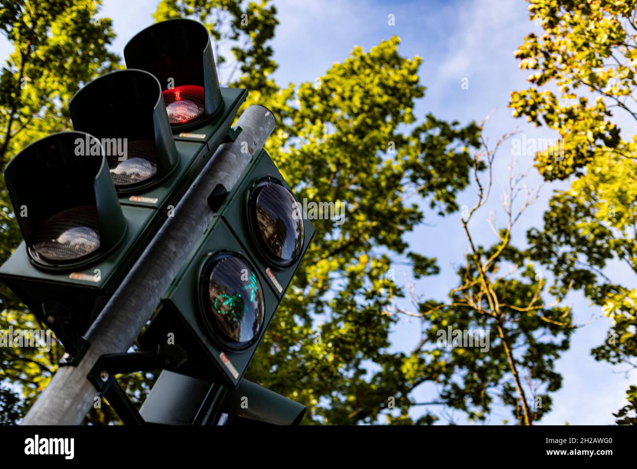 low angle view of a german traffic light, defocused trees as background Stock Photo