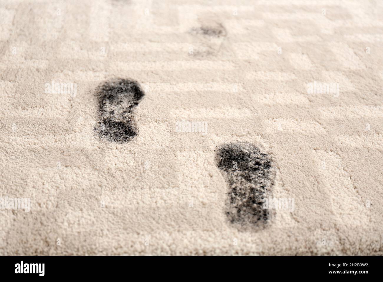 Trail of muddy footprints on beige carpet Stock Photo Alamy
