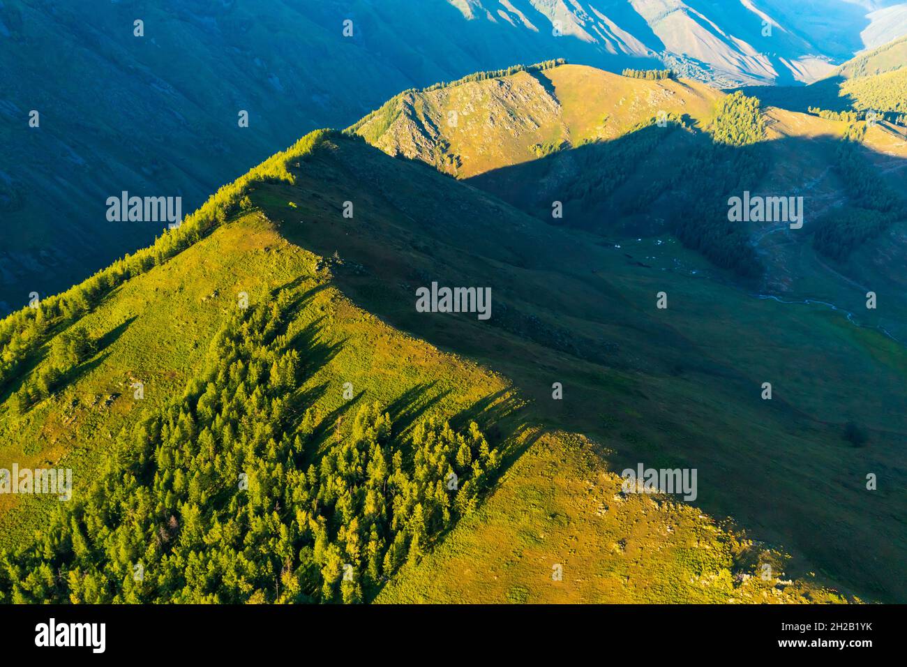 Aerial View of mountain and green forest with grass in Kanas Scenic Area,Xinjiang,China. Stock Photo