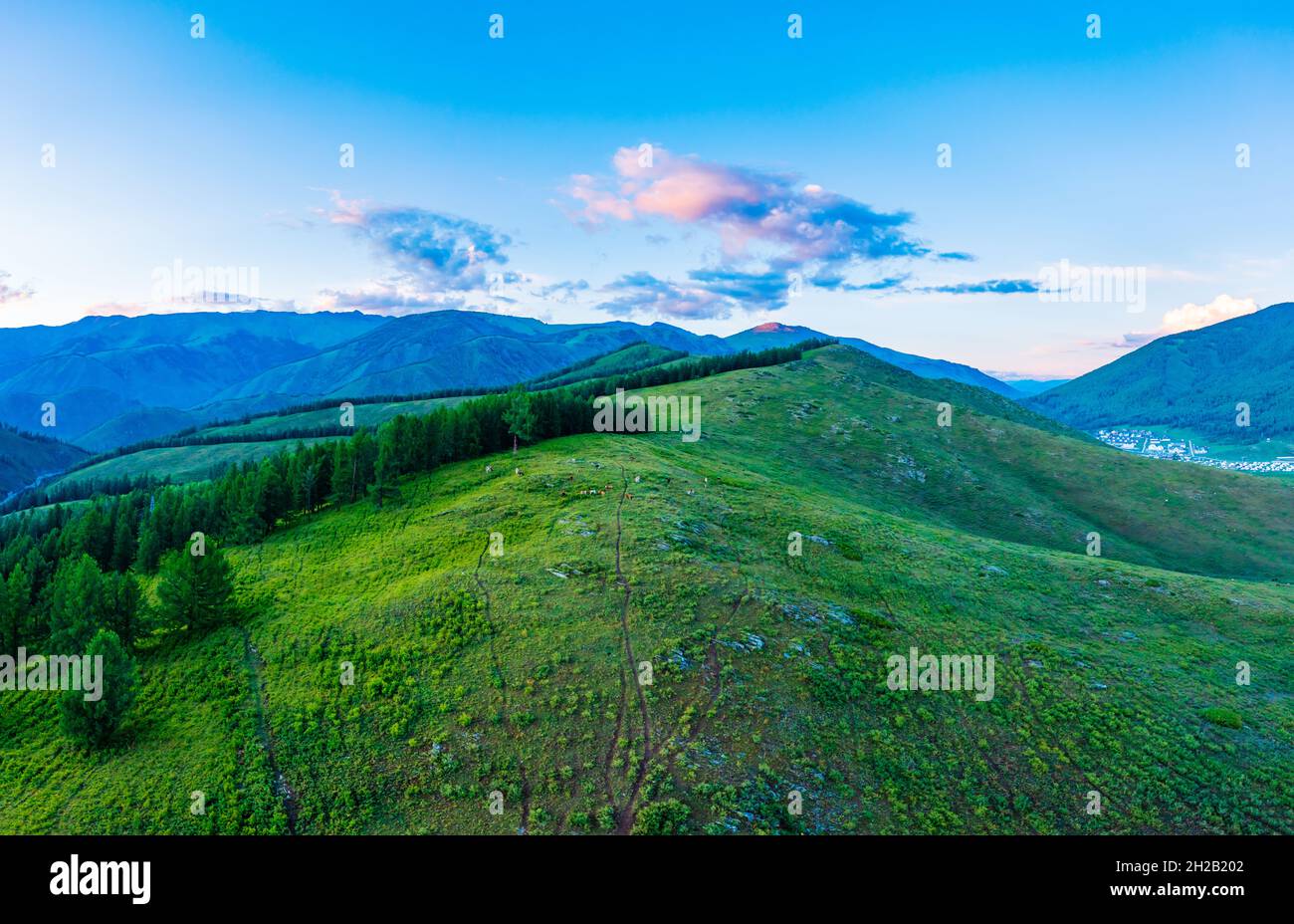 Green forest aerial mountain nature hi-res stock photography and images ...