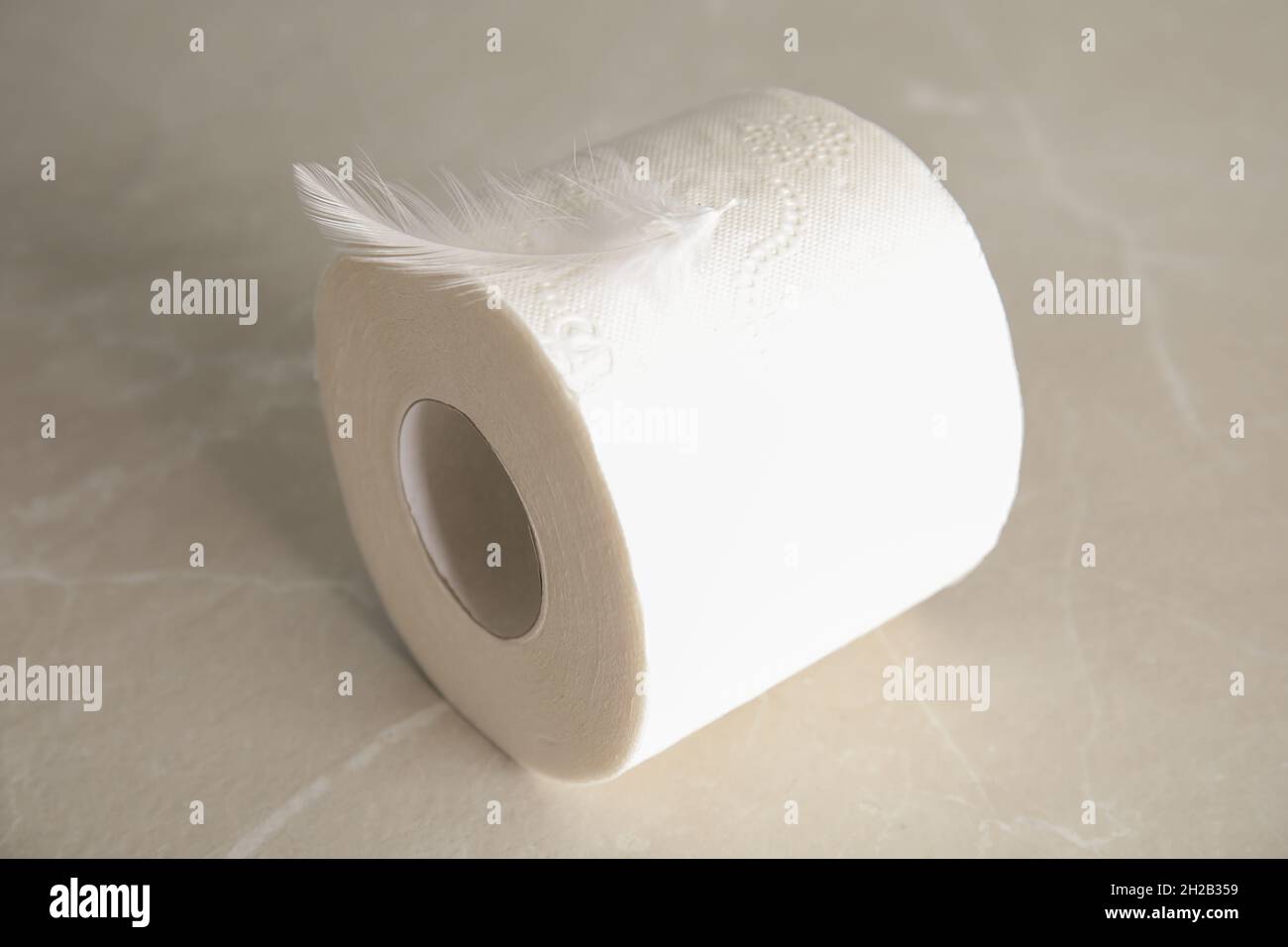 Toilet paper roll with feather on grey background Stock Photo - Alamy