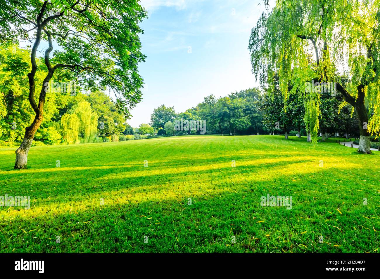 Green grass and trees in spring season Stock Photo - Alamy