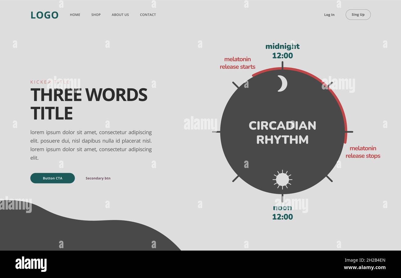 Circadian rhythm website template. UI UX design. Infographic of melatonin hormone release