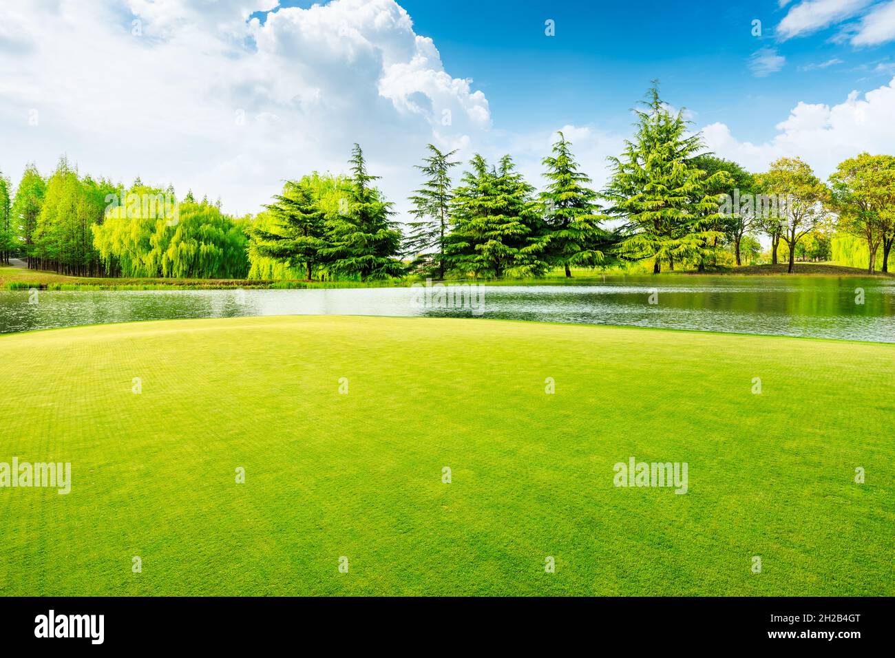 Green grass and trees in spring season Stock Photo - Alamy