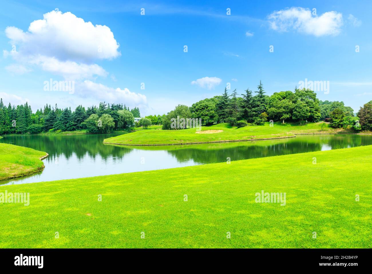 Green grass and trees in spring season Stock Photo - Alamy
