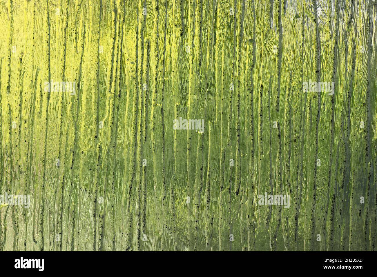 Green stained glass window texture. Background, abstract, construction, nature, green, Spring concept. Stock Photo