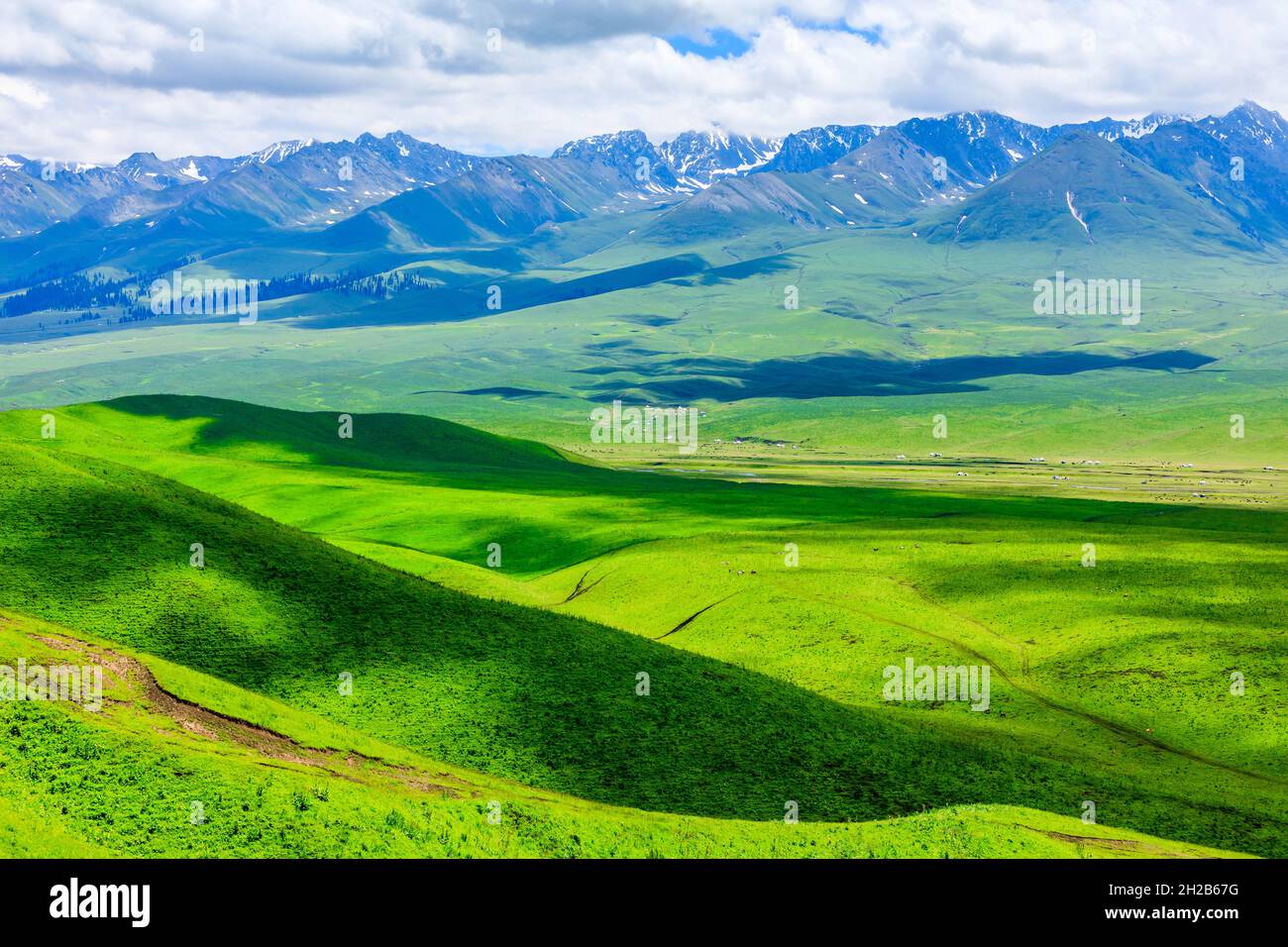 Nalati grassland hi-res stock photography and images - Alamy