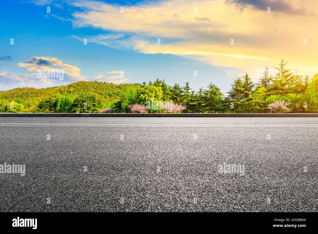 Asphalt road and green forest in spring Stock Photo - Alamy